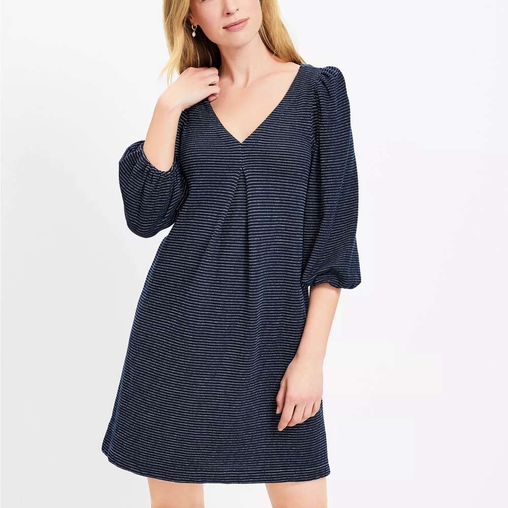 LOFT Stripe Textured Pleated Dress NWT